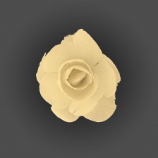 Цветочки декоративные, цвет шампань, размер 20 мм, 144 шт/уп